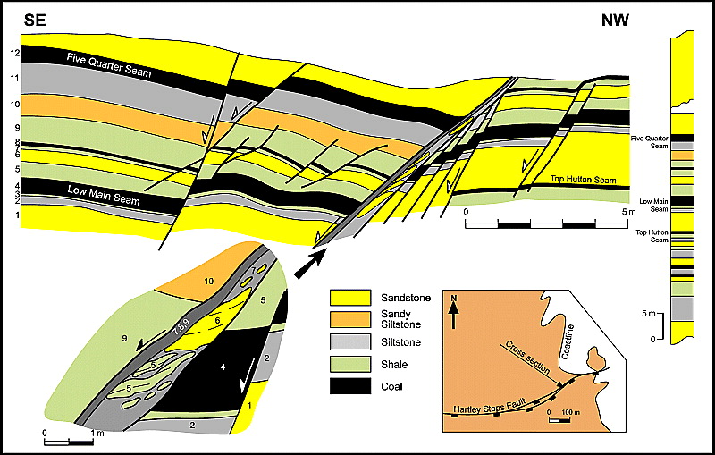 Coal Layers