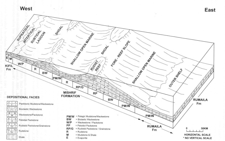 carbonate environments