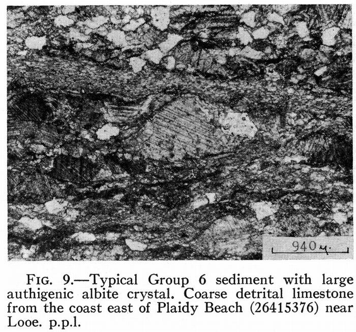 Detrital Limestone